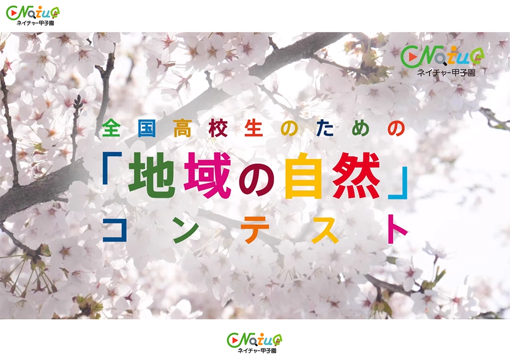 トップ動画
